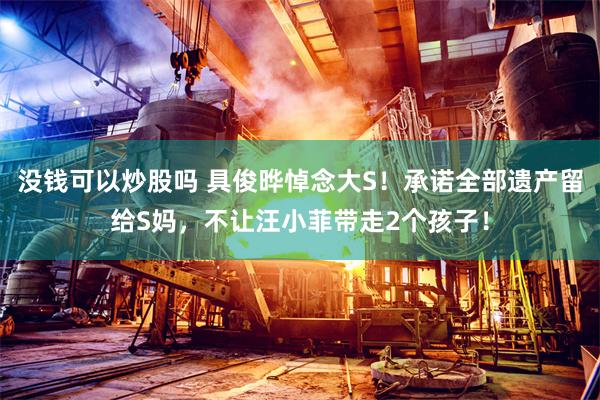 没钱可以炒股吗 具俊晔悼念大S！承诺全部遗产留给S妈，不让汪小菲带走2个孩子！