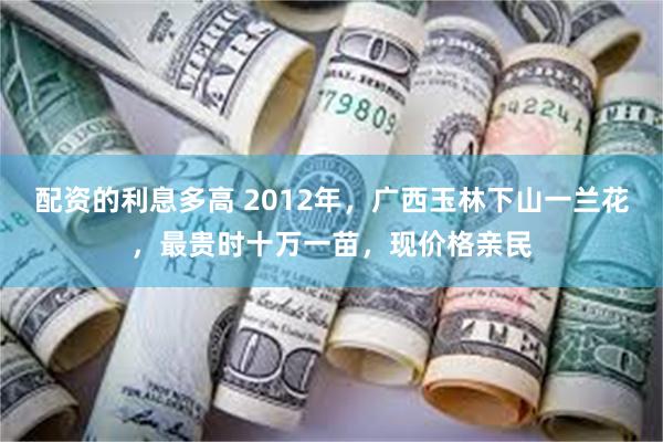 配资的利息多高 2012年，广西玉林下山一兰花，最贵时十万一苗，现价格亲民
