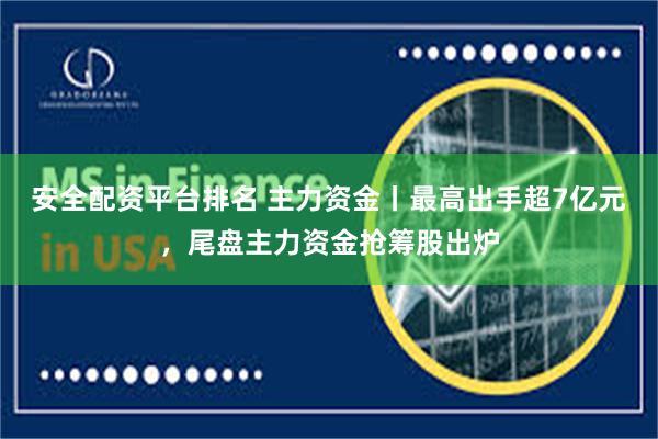 安全配资平台排名 主力资金丨最高出手超7亿元，尾盘主力资金抢筹股出炉