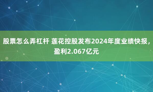 股票怎么弄杠杆 莲花控股发布2024年度业绩快报，盈利2.067亿元