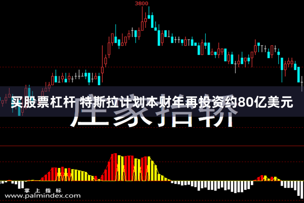 买股票杠杆 特斯拉计划本财年再投资约80亿美元