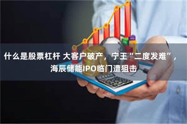 什么是股票杠杆 大客户破产，宁王“二度发难”， 海辰储能IPO临门遭狙击
