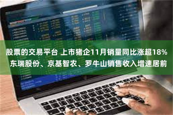 股票的交易平台 上市猪企11月销量同比涨超18%  东瑞股份、京基智农、罗牛山销售收入增速居前